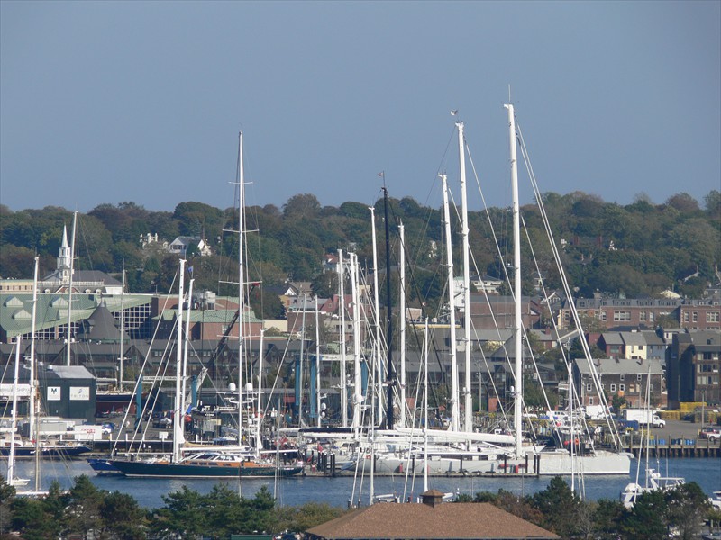 A forest of yacht masts